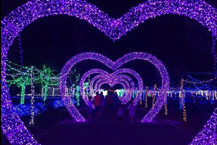 石家莊趣那主題公園燈光節